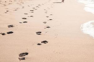 Footprints in wet sand on Margate Indian ocean beach photo
