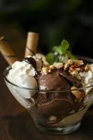 Organic chocolate and mint vanilla ice cream sundae dessert in bowl photo
