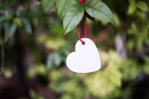 Heart hanging on the branches. photo