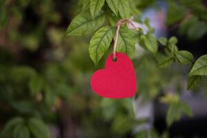 corazón colgando de las ramas. foto