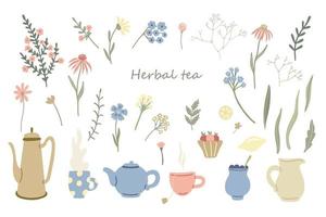 Herbals, teapots and mugs of tea set. Lemon, dessert and wildflowers vector