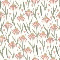 Herbal seamless pattern with meadow echinacea flowers vector