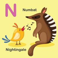 Illustration Isolated Animal Alphabet Letter N-Numbat,Nightingale vector