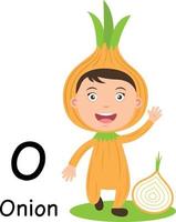 Alphabet Letter O-onion,vector vector