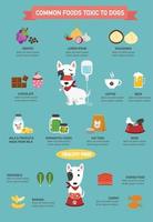 Alimentos comunes tóxicos para los perros ilustración infográfica. vector