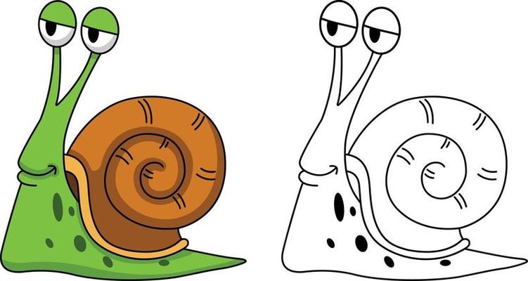 Illustration of educational coloring book-snail