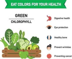 Eat colors for your health vector