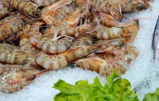 Raw Fish Meat Food Shrimp on Ice photo