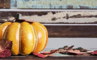Thanksgiving and halloween concept of pumpkin