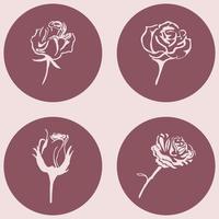 Iconos de rosas y flores en rosa aislado sobre un fondo vector