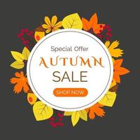 Autumn sale banner with orange and yellow leaves vector