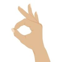 Hand sign ok, isolated on white background vector