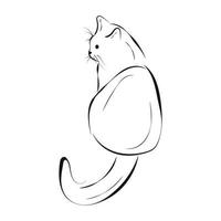 Hand drawn cat sketch, isolated on white vector