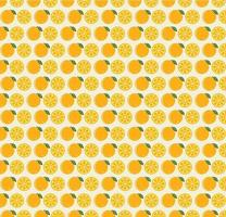 Orange Fruit Seamless Pattern vector