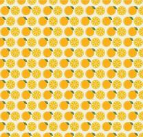 Orange Fruit Seamless Pattern vector