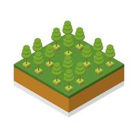 Isometric trees on a white background vector