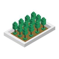 Isometric trees on a white background vector