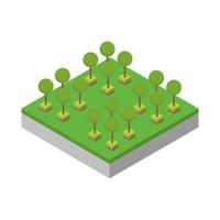 Isometric trees on a white background vector