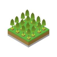 Isometric trees on a white background vector