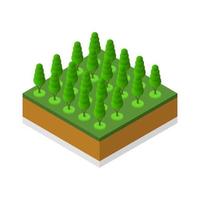 Isometric trees on a white background vector