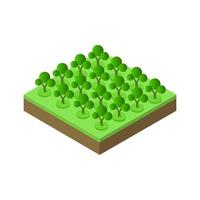 Isometric trees on a white background vector