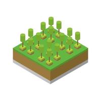 Isometric trees on a white background vector