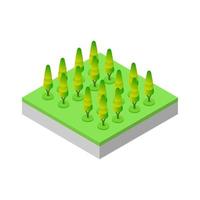 Isometric trees on a white background vector