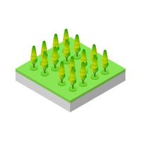 Isometric trees on a white background vector