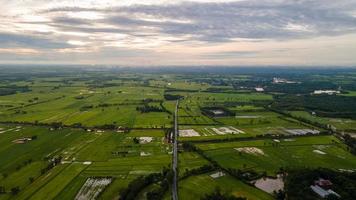 Ariel view  of  rice fields in thailand photo