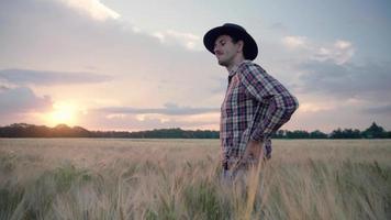 un agriculteur se promène dans un champ de blé d'été video