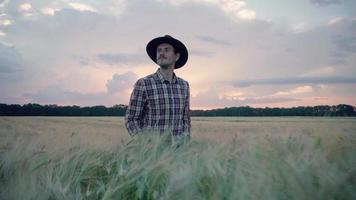 Young Farmer Walking Through A Summer Wheat Field video