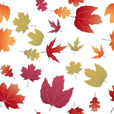 Autumn Natural Leaves Seamless Pattern Background. Vector Illustration
