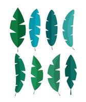 Tropical leaves simple collection set. Vector illustration