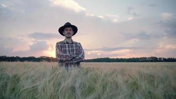 mannelijke boer loopt door een zomertarweveld video