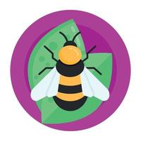 Honey Bee and Insect vector