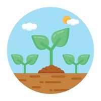 Plantation and Seedling vector