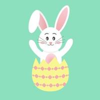 Easter rabbit sitting in the egg. vector