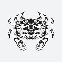 Crab drawing illustration vector