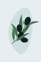 A sprig of olive on a soft blue background. vector