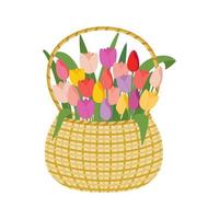 Flowers in a basket, isolated on a white background. vector