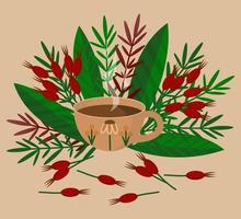 Composition of a Cup of coffee and colorful leaves and berries. vector