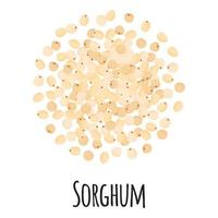 Sorghum for template farmer market design, label and packing. vector