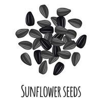 Sunflower seeds for template farmer market design, label and packing. vector