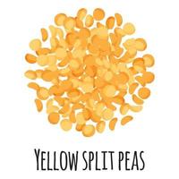 Yellow split peas for template farmer market design and packing. vector