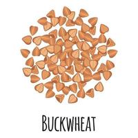Buckwheat for template farmer market design, label and packing. vector