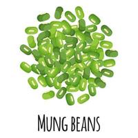 Mung beans for template farmer market design, label and packing. vector