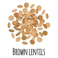 Brown lentils for template farmer market design, label and packing. vector