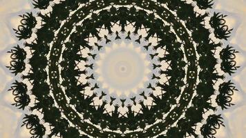 Dark Green Brush Over Beige Vibrant Kaleidoscopic Element video