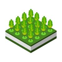 Isometric trees on a white background vector