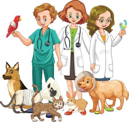 Veterinarian with many kind of animals